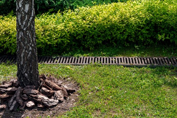 Cost of Yard Water Redirection in Flower Mound