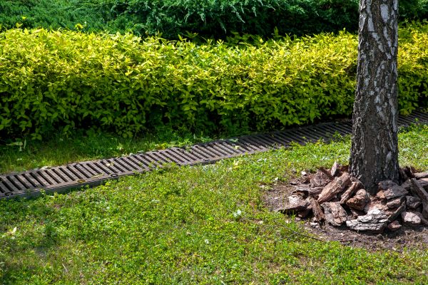 Cost of Residential Landscape Drainage in Flower Mound
