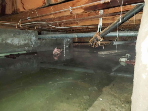 Cost of Crawlspace Drainage in Flower Mound